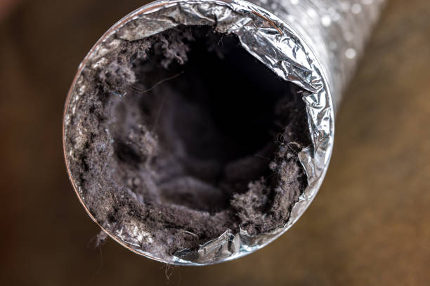 Best HVAC Air Duct Cleaning  in Sunnyside, CA